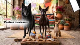 Postres mexicanos