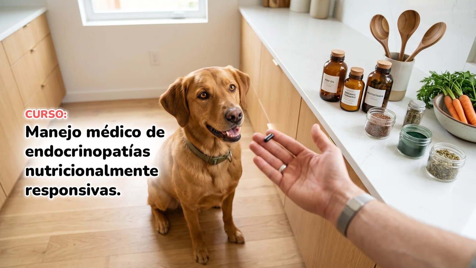 Manejo médico de endocrinopatías nutricionalmente responsivas.
