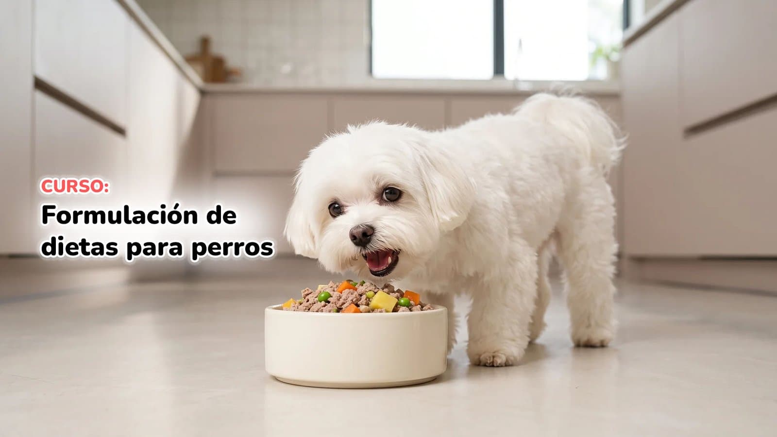 Formulación de dietas para perros