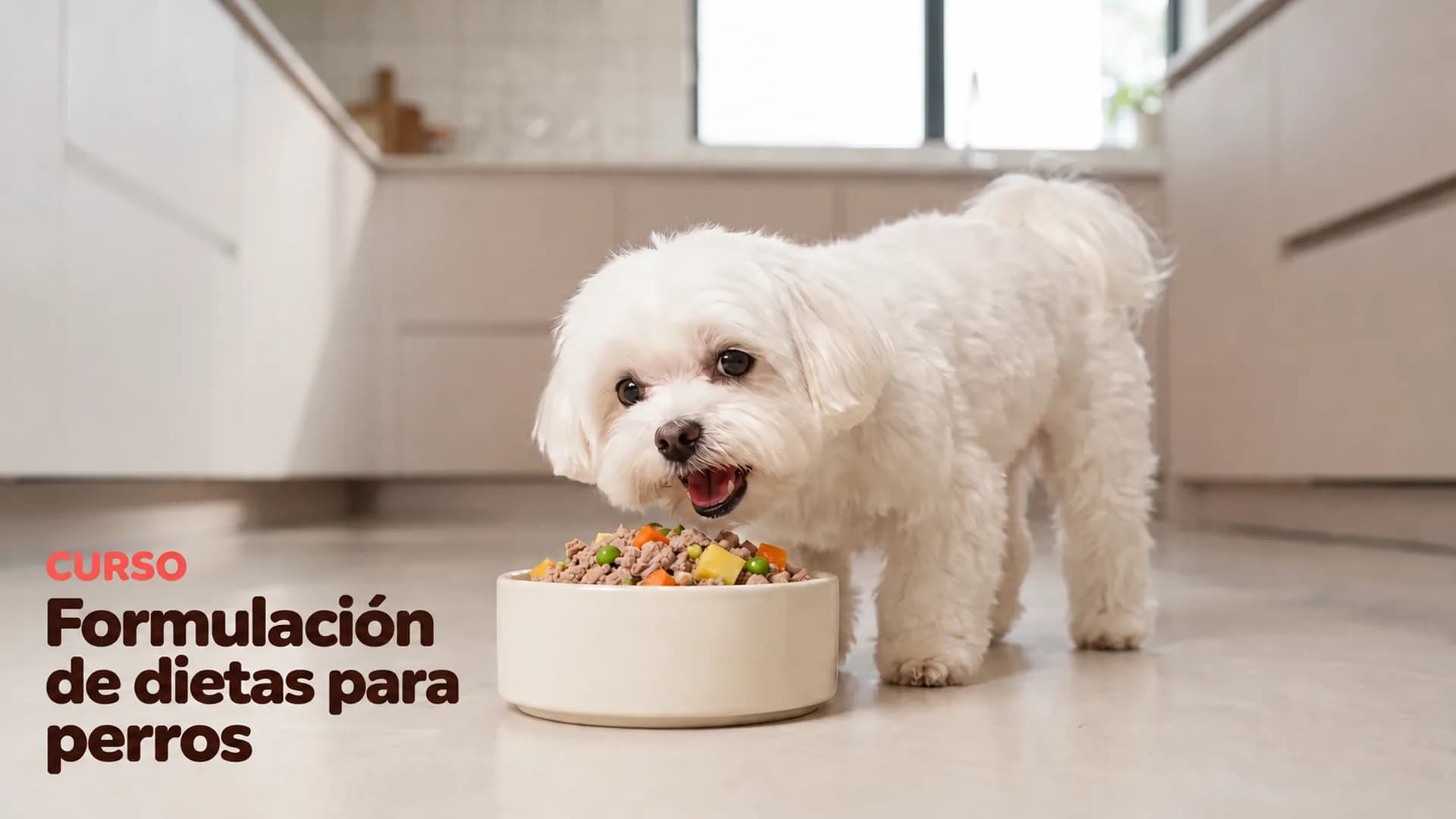Formulación de dietas para perros