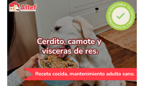 Receta-ALTEF-Cerdito-camote-visceras-de-res