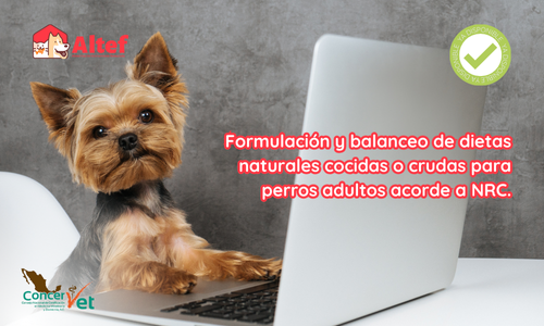 Formulación de dietas naturales cocidas o crudas para perros sanos en mantenimiento, acorde a NRC