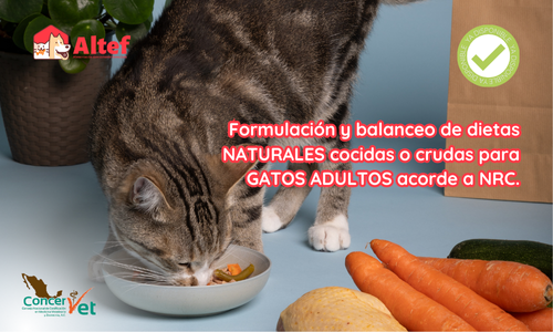 Formulación y balanceo de dietas NATURALES cocidas o crudas para GATOS ADULTOS acorde a NRC.