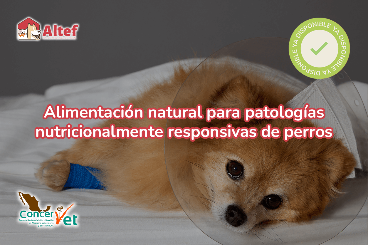 Alimentación Natural para patologías nutricionalmente responsivas de perros ALTEF