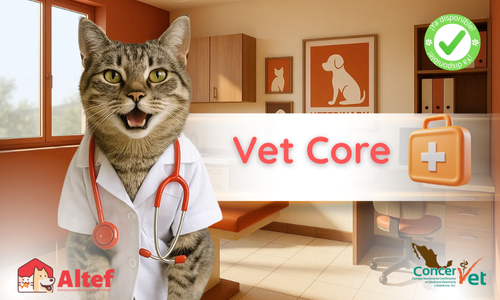 Cursos de nutrición natural para perros y gatos vet core