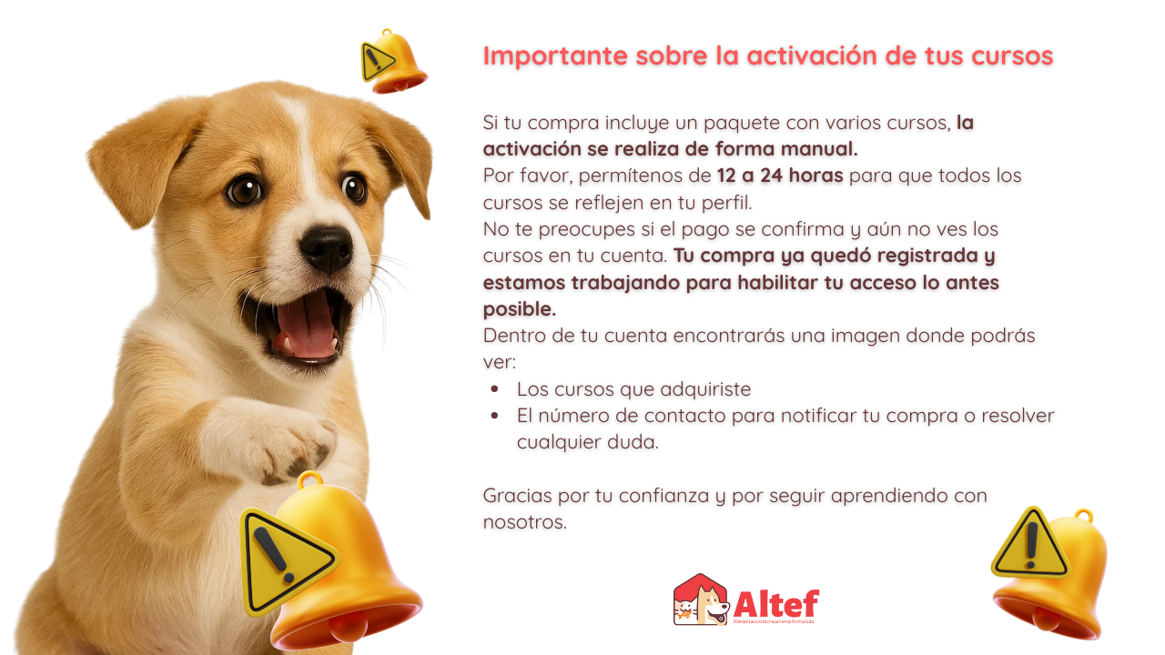 Vet Master - Imagen 8