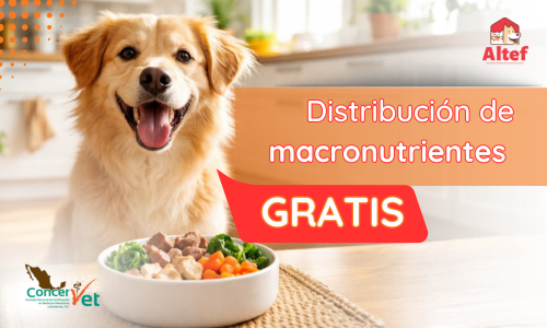 Distribución de macronutrientes
