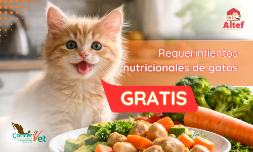 Requerimientos nutricionales de gatos