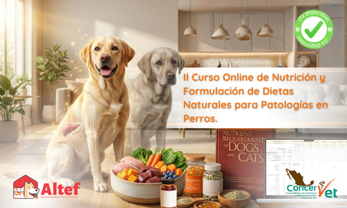 miniatura del curso